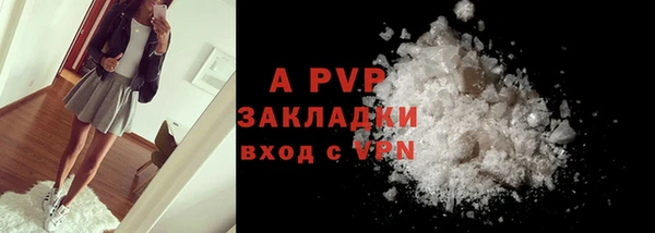 стаф Богородицк