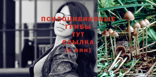 дмт Богородск
